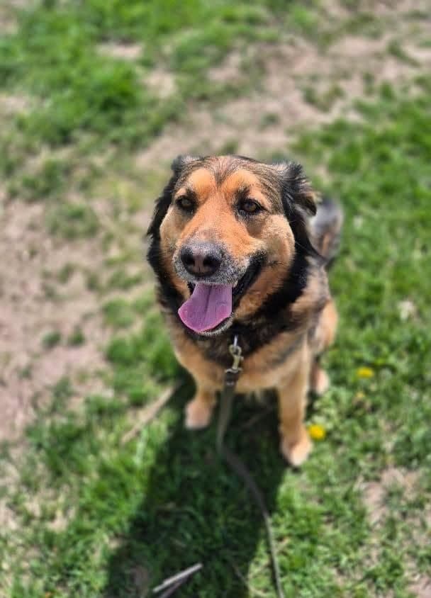 Nora