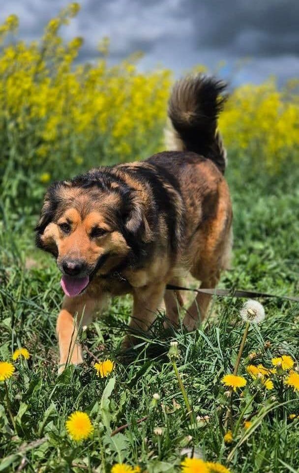 Nora