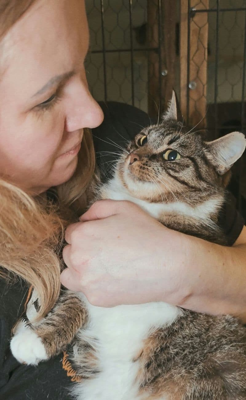 Bučkės Šeima
