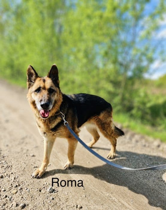 Roma