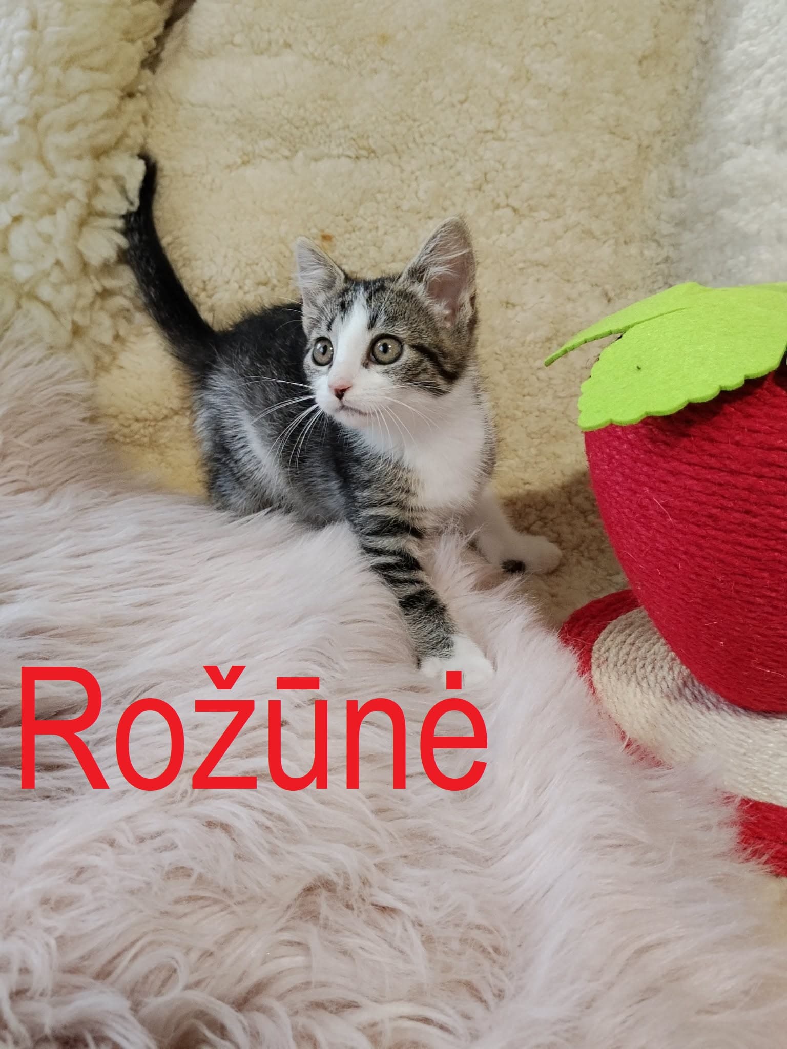 Rožūnė
