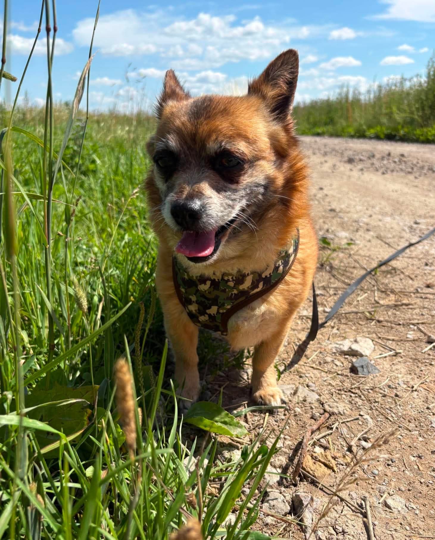 KIKA