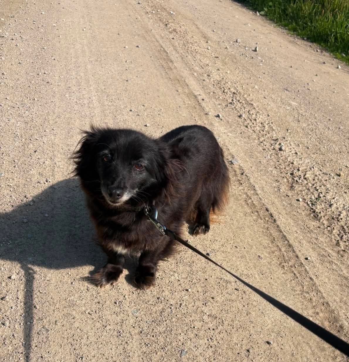 ŠILUTĖ