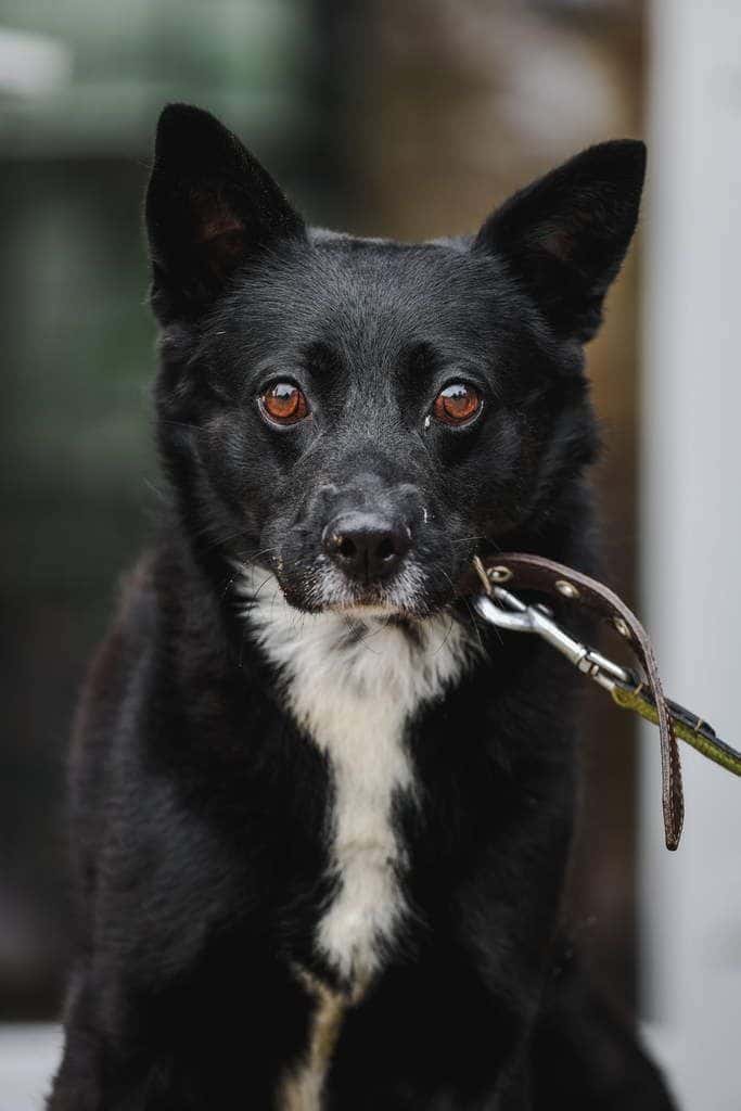 Pablo