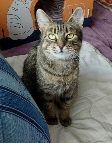 Mimi