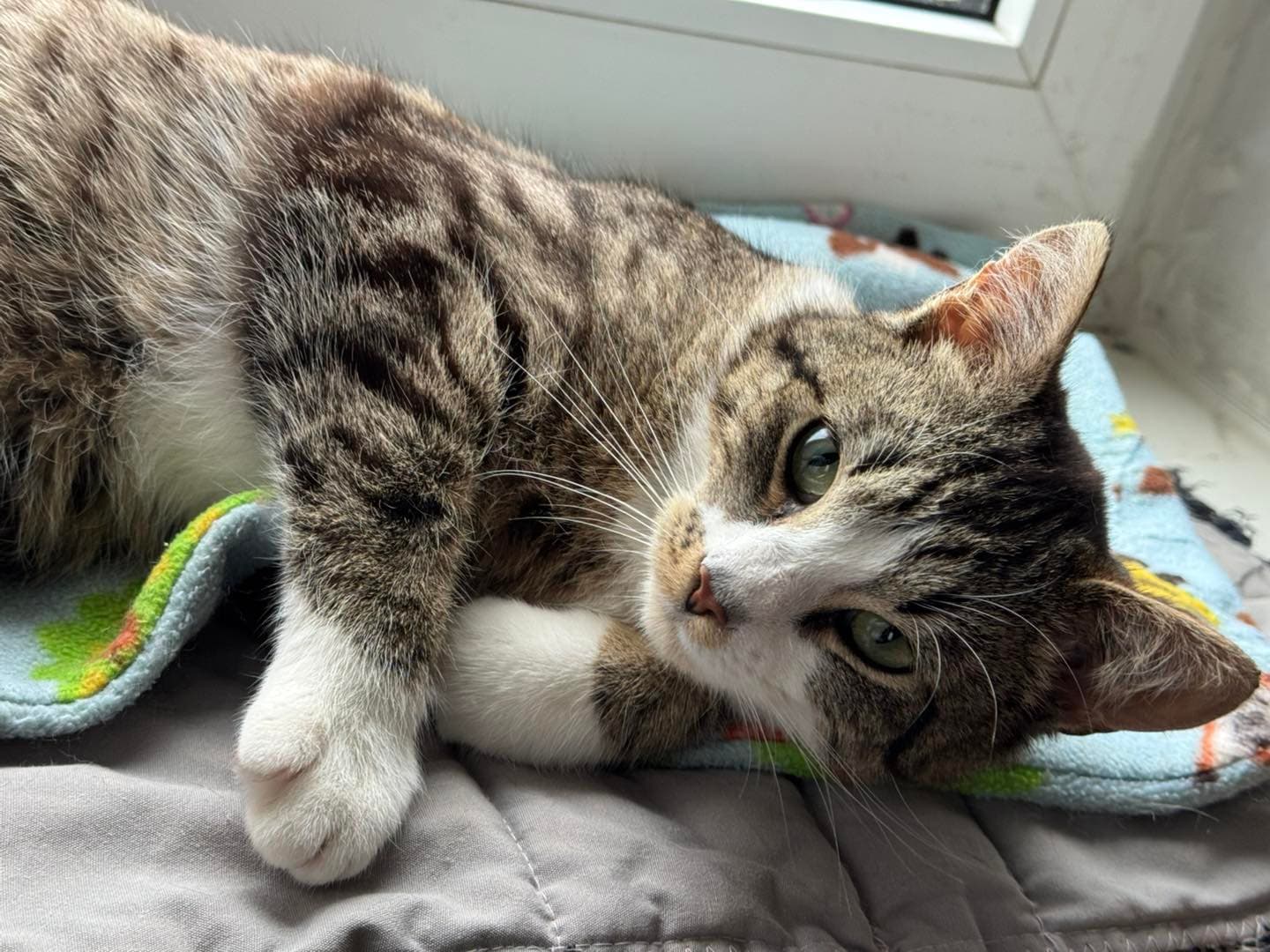 KARIS